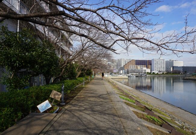 しながわ花海道 クチコミ アクセス 営業時間 大森 大井町 フォートラベル