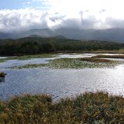 高架木道で行きます。