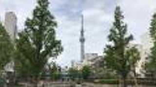 ウォーキングや散策にも