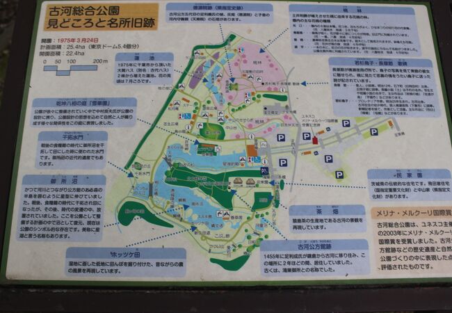 古河総合公園 クチコミ アクセス 営業時間 古河 フォートラベル 古河総合公園 クチコミ アクセス 営業時間 古河 フォートラベル