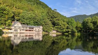 カモが逃げない！