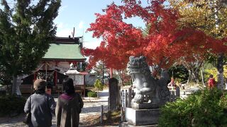 眺望も素晴らしい