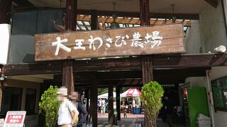 広大なわさび農場