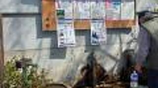 井戸水が汲めます