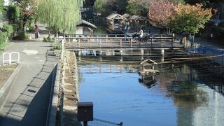 江戸時代の堀はこうだったろうなと想像できます