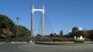 角乗りが披露される、広い公園