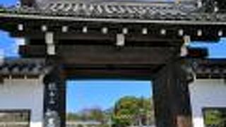 こちらから入りました