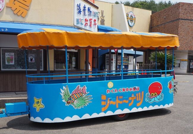 わくわく海中水族館シードーナツ クチコミ アクセス 営業時間 天草諸島 フォートラベル