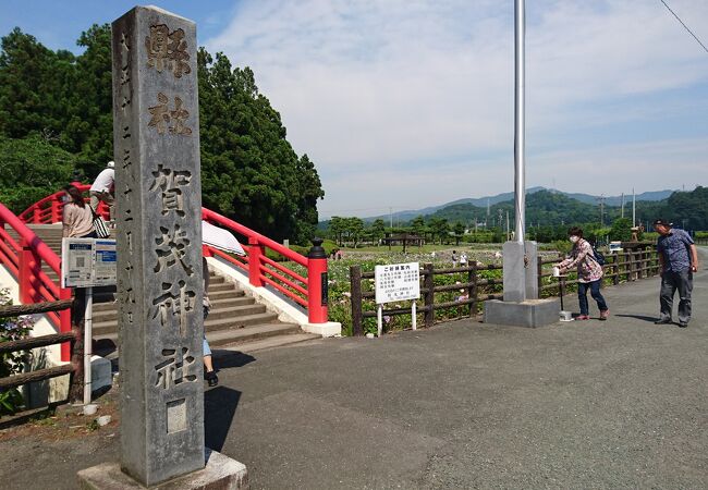 賀茂しょうぶ園 クチコミ アクセス 営業時間 豊橋 フォートラベル 賀茂しょうぶ園 クチコミ アクセス 営業時間 豊橋 フォートラベル