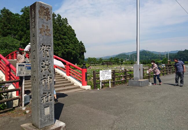 賀茂しょうぶ園