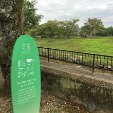 岩倉川沿いの北園