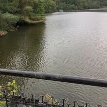 公園奥の宝が池