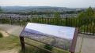 緑と花と眺めの良い公園