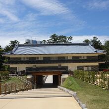 玉泉院丸庭園から見た感じ