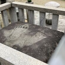 大きな足跡です