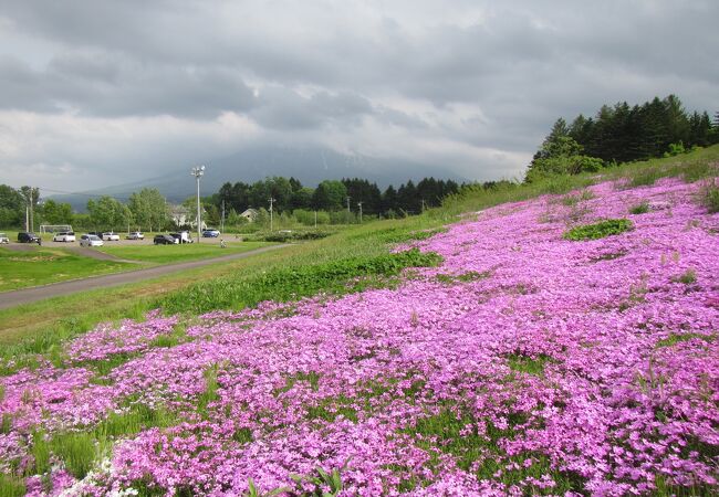 倶知安 くっちゃん のおすすめ観光スポット クチコミ人気ランキングtop17 フォートラベル 北海道
