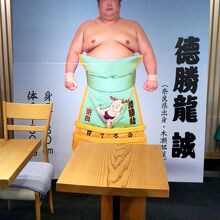 奈良県出身 徳勝龍誠の幕内優勝