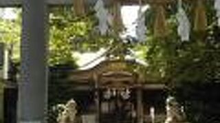 もとは鷺明神と称し鬼子母神堂境内に祀られたが、神仏分離で独立したお酉様に