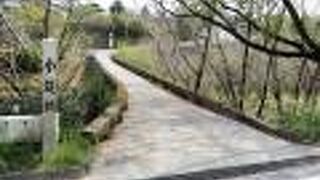 橋全体が見づらい