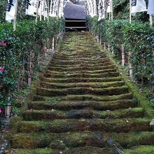 山門から本堂までの「苔の石段」は見ものです