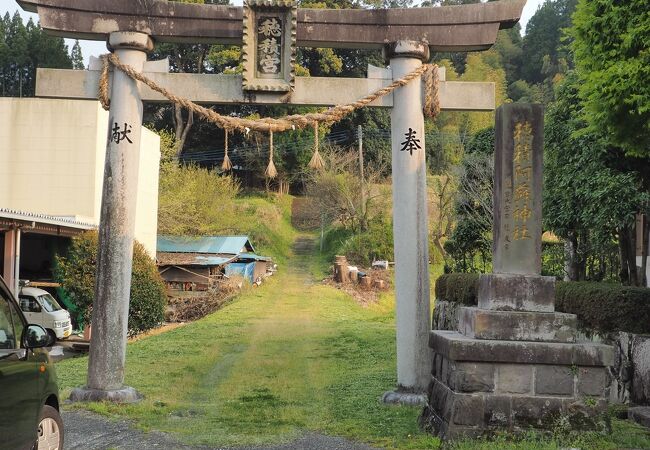 県道153号線側にも鳥居