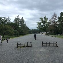近所の人が歩く公園