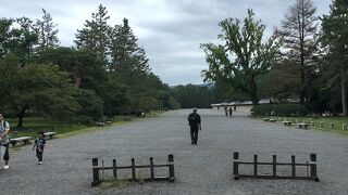 近所の人が歩く公園