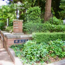 次回はチューリップを見たいです