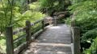 和歌山城内にある庭園！鶴？亀？カエデ！コケ！きれいでした