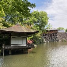 池です。