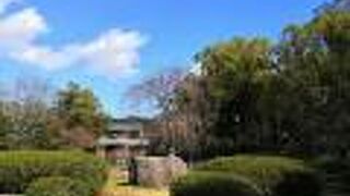 枝垂桜があります