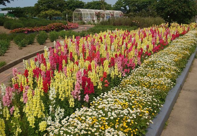 秋田県の公園 植物園 クチコミ人気ランキングtop40 フォートラベル 秋田県の公園 植物園 クチコミ人気ランキングtop40 フォートラベル
