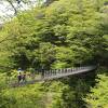 大山滝吊り橋