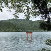 湖に浮かぶ鳥居は幻想的