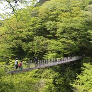 一向平キャンプ場と大山滝の中間地点