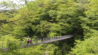 大山滝吊り橋