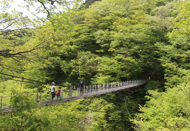 一向平キャンプ場と大山滝の中間地点