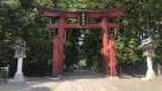 標高634mの弥彦山の山麓に鎮座、弥彦山を神体山として祀る