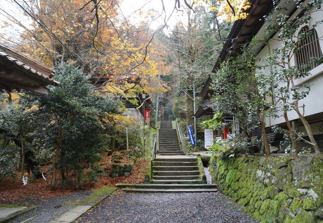 三朝温泉の紅葉 クチコミ人気ランキング フォートラベル 鳥取県