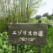 中富良野森林公園