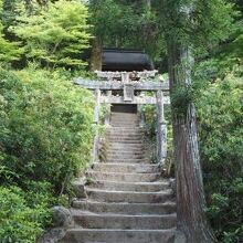 深い木々に囲まれた中に鎮座する神社。