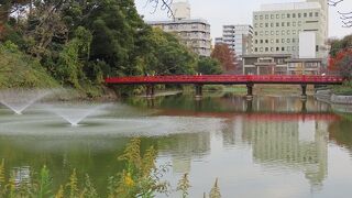 【河底池】天王寺公園の中の印象的な風景