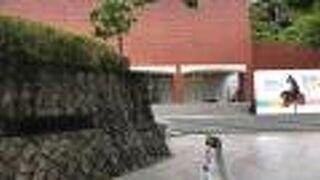 山口ゆかりのコレクション！