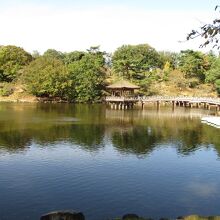 季節ごとの景色を楽しむことができる鷺池