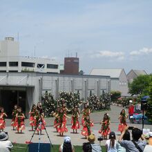 ちょうどフラダンスショーをやっていた