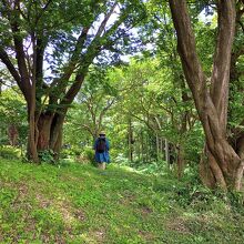 六国見山森林公園