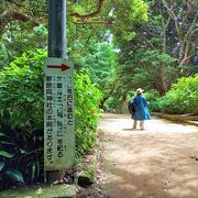 鎌倉駅から徒歩で行ける　桜の名所　源氏山公園