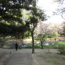 出雲大社 浄の池