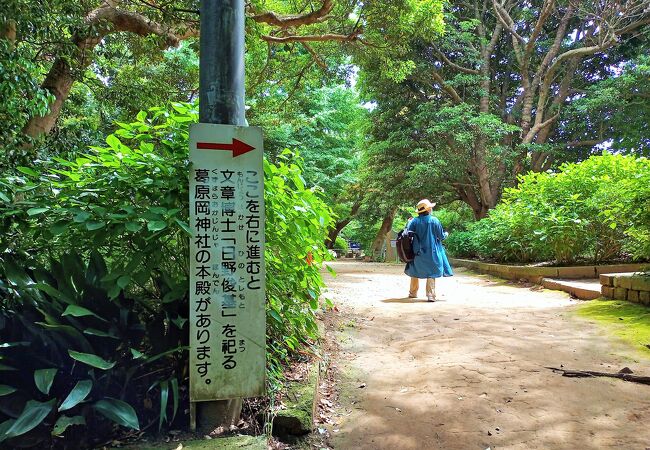 源氏山公園 神奈川県鎌倉市 クチコミ アクセス 営業時間 鎌倉 フォートラベル 源氏山公園 神奈川県鎌倉市 クチコミ アクセス 営業時間 鎌倉 フォートラベル