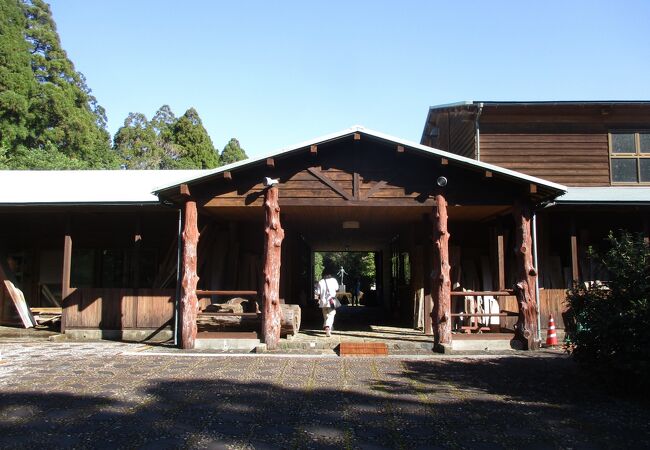 屋久杉自然館 自然館別館